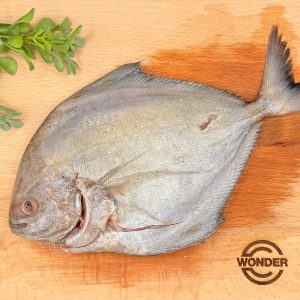 BLACK POMFRET (CLEANED)