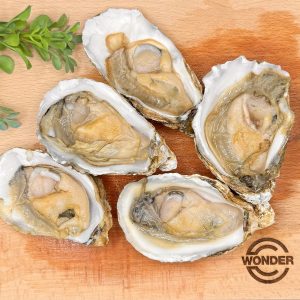 FROZEN OYSTER