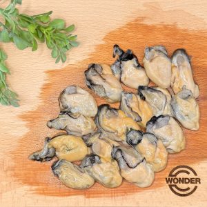 OYSTER MEAT L