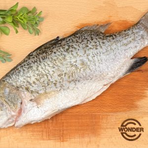 SIAKAP WHOLE FISH (CLEANED)