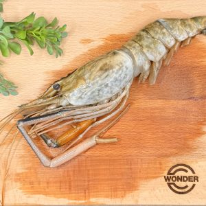 WATER PRAWN/ GIANT PRAWN U10